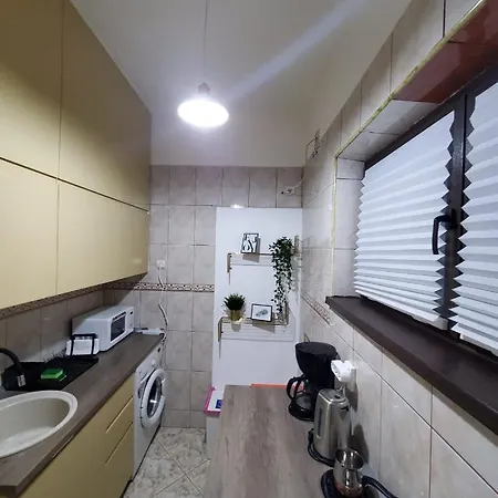 דירה Victoriei 91-93 Apartment